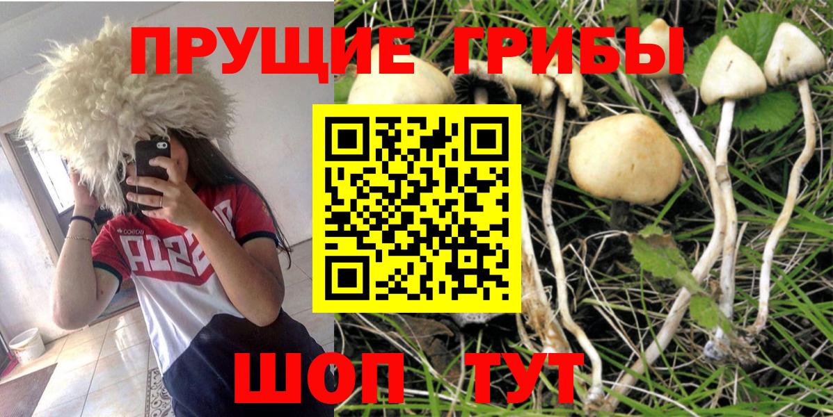 продажа наркотиков  Галлюциногенные грибы прущие грибы  Вход с VPN  Лиски  Галлюциногенные грибы Cubensis 