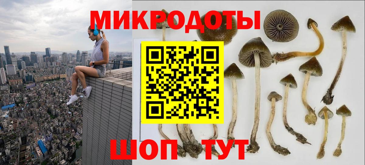 Галлюциногенные грибы прущие грибы Лиски